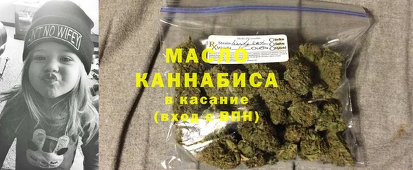 соль ск Вяземский