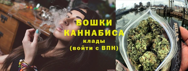 прущие грибы Вязьма