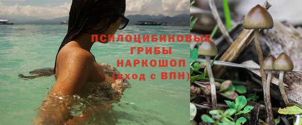ешки Навашино