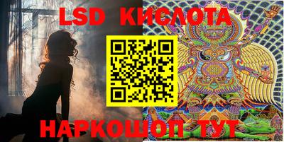 гашик Кинель