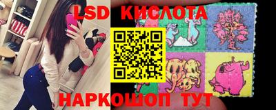 прущие грибы Балахна