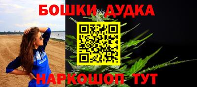 круглые Кингисепп