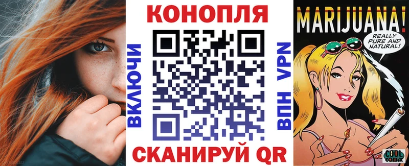 Конопля гибрид  Рославль 